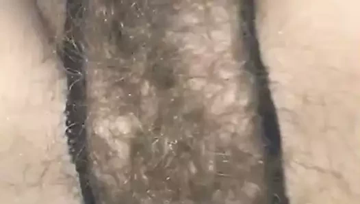 lanet kıllı KEDİ &amp; göt bölüm 2