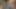 Sarışın güzel kadın seksi esmere amını yalatıyor