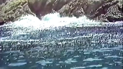 Le yatch des partouzes