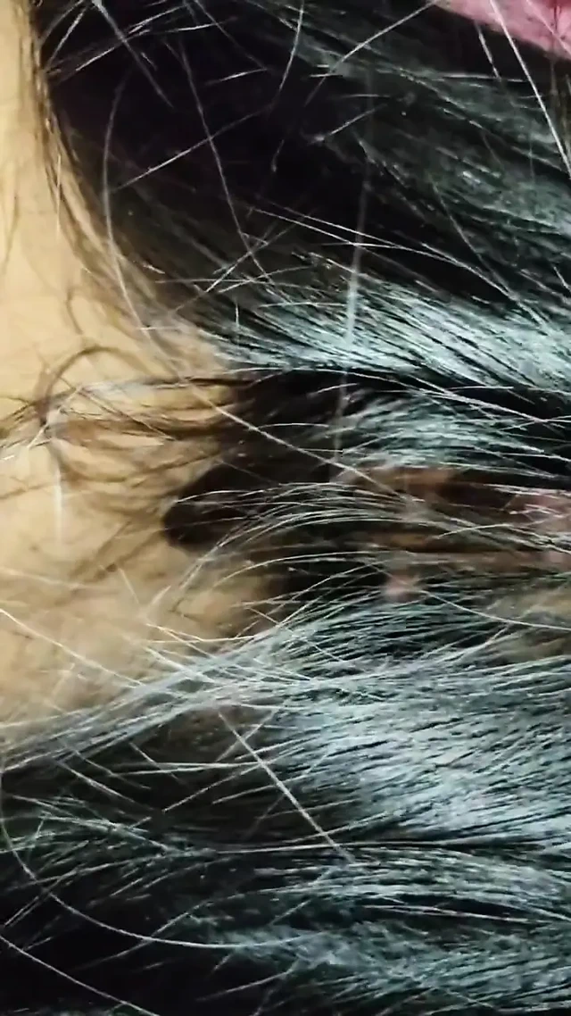 Karı koca her gece programı.  Full HD