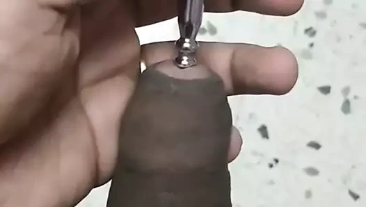 sondaj horoz