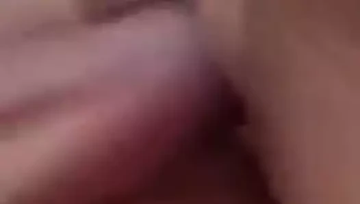 benim en iyi arkadaşlar kedi