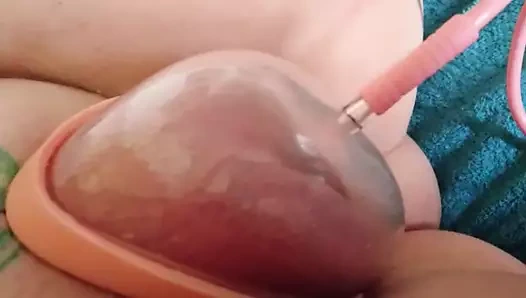 Canavar pompalı kedi içinde ağır çekim