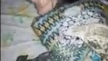 Köpek stilini seviyor ve bundan zevk alıyor