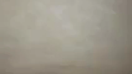 the karısı lanet benim horoz köpek