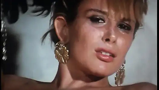 Rocco Siffredi ile klasik kıllı amcık yalama sikişi