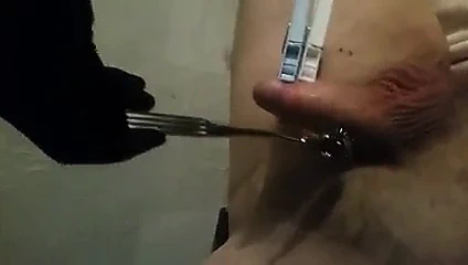 Horoz ve top işkencesi.