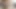 Asyalı yapay penis emiyor, arkadaşları için götüne şaplak atıyor