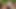 Euro retro porno yıldızı Maria Bellucci sert seks yapıyor