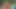 İki orta yaşlı seksi sürtük sikişiyor ve yarağa biniyor