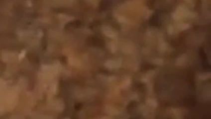 Amatör milf kahrolası büyük siyah horoz