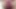 Pembe parlak şort kıyafetli ve bronzlaşmış dikişsiz külotlu çoraplı seksi travesti kellycd2022'