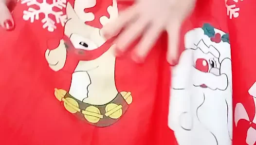 Noel'in on iki günü