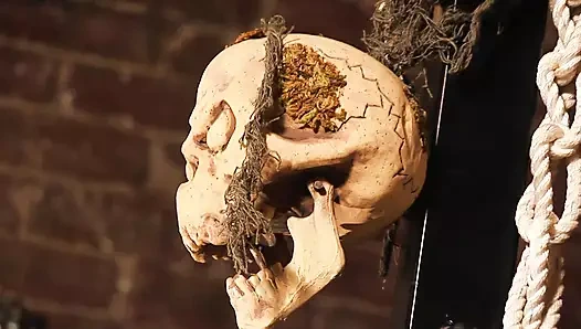 Genç ve milfs dönüş halloween parti içine alem ve binmek yarak için orgazm