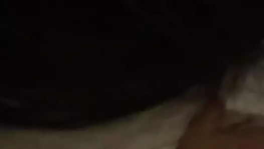 zevk bazı beyaz KEDİ eyersiz