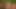 İç çamaşırlarıyla dans ediyoruz ve sonra götüme dildo sokuyorum - ggmansion
