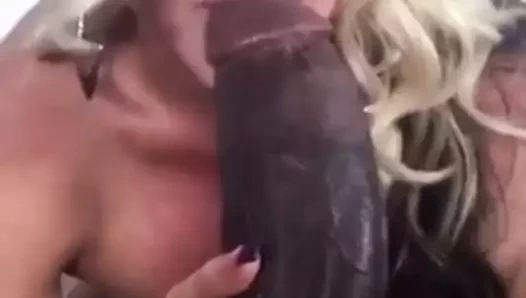 Beyaz puma milf emme canavar siyah horoz