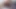 4k pressley büyük bir siyah horoz alır!