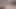Dildo dağınık gösterisi