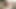Riley Reid sikişmesi için sıkı götünü vererek erkek arkadaşını affettiriyor