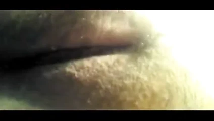 Rastgele memeler ve göğüsler