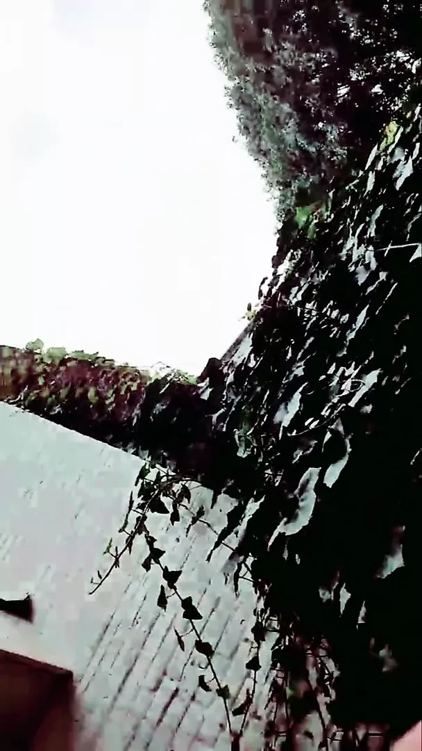 Sürtükboyben cam4 seksi erkek delisi sürtük