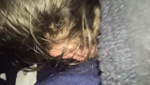 bbc nj için yeni köle