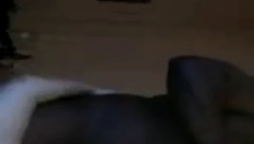 Suckin adım baba ding bir ling