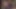 Bearfilms Logan Davis azgın ayılar çıplak korucu ve Jeremy Feist ile vahşi üçlü seks yapıyor