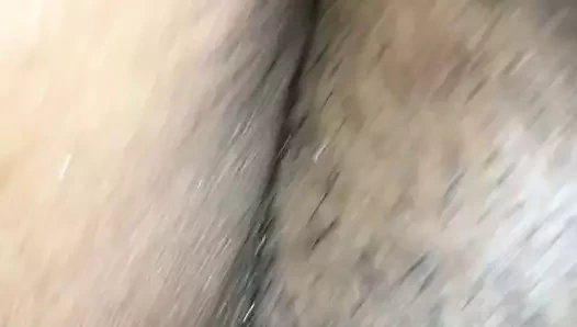 Kıllı şişman kedi ucube