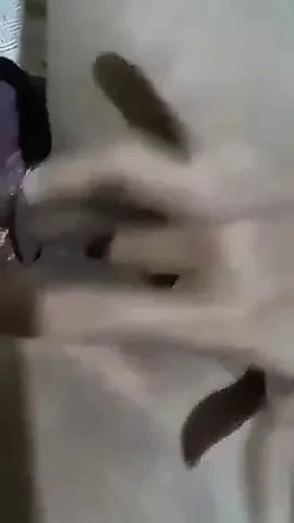 Assam kız parmak bölüm 1