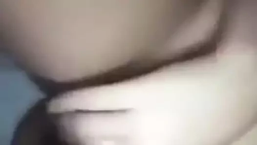 Belize kedi ovuşturdu içinde san pedro kasaba