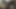 ZIBMUSSER CUMPILATION IV