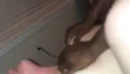 Redheaded tombul milf sağladım tüm üzerinde bbc