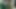 Ateşli latin sevgilisi için mastürbasyon yapıyor ve video çekiyor.