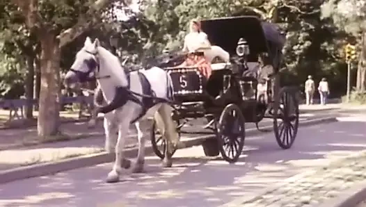 Stp7 zirveye çıkıyor!