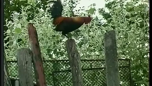 Azgın yarak emen adam çimlerde ateşli bir kaltağı sikerken götünü parçalıyor