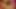 MIlf mit Kopftuch in die Fotze gefickt