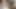 Cüce denizci piliç yarak emiyor ve sonra amını otel yatağında ucubeye yediriyor