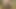 Blonde twink SubAngel fucking skinny boy Catamite Outdoor