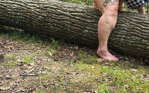 Amcık memnun edici ağaç kütüğü şişman domuz fışkırtıyor