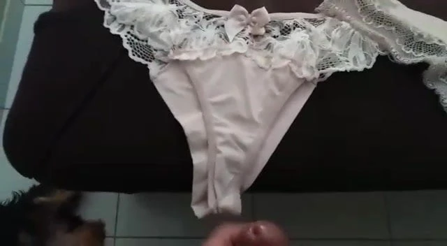 Gozando nas calcinhas da amiga casada.