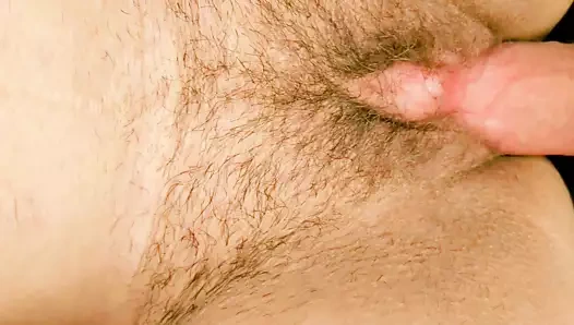 Bu tüylü kedi üzerinde yakın çekim!