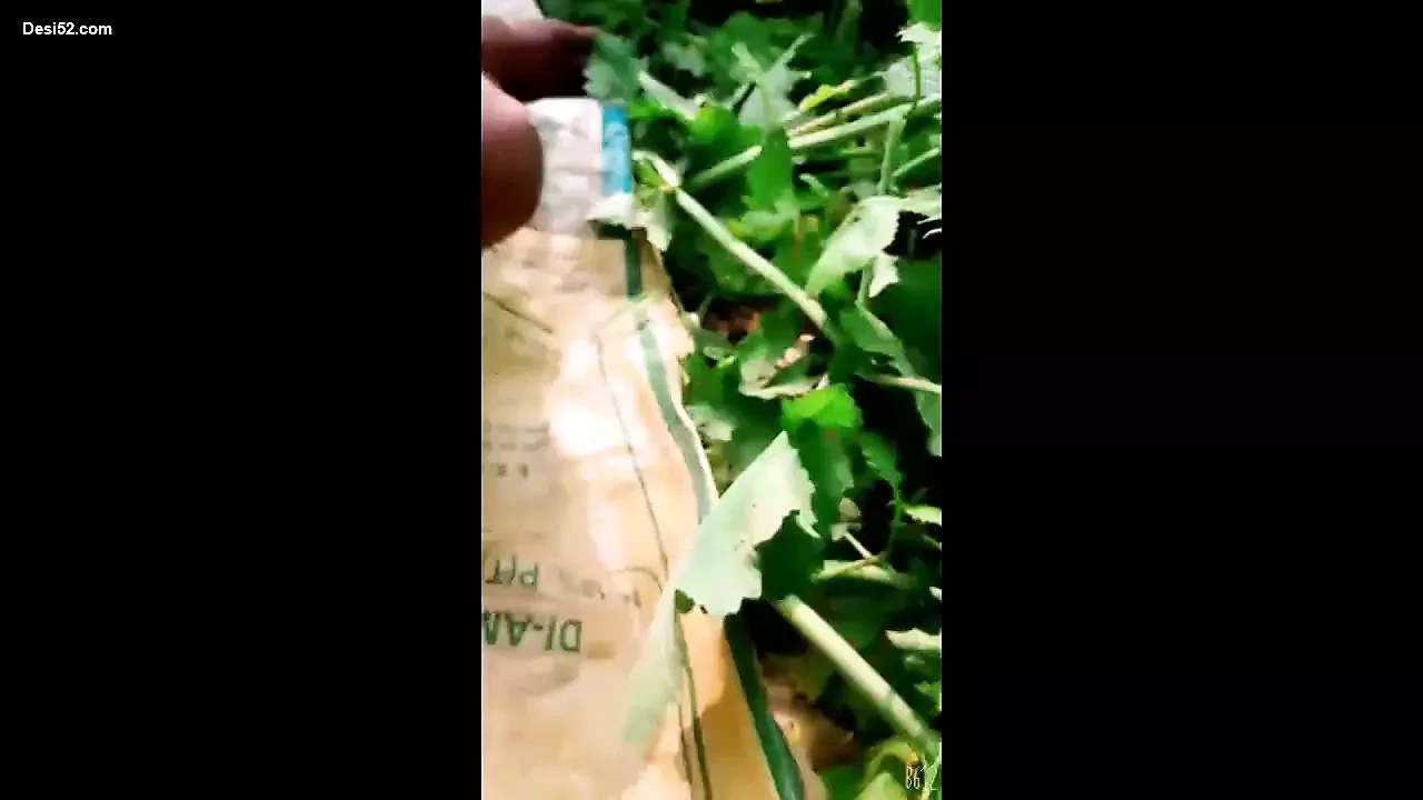 New: Desi Indian Village Bhabhi Outdoor Farmhouse Sex With Husnan Hairy Hairy Porn (Full Video) - USA Special