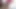 Abella Danger Prens Yahshua'yı büyük zenci yarağıyla sikiyor