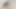 Megan stancey bir porno yıldızı gibi bu horoz sürmek
