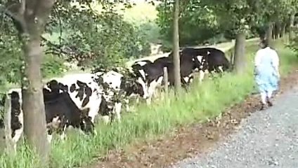 Çiftlik kızı bölüm 2