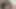 Şanslı inek seksi zenci kızın içinde sikini ıslatıyor