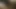 Texas hotwife oral seks