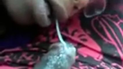 Getto dört gözlü kırbaç yutuyor